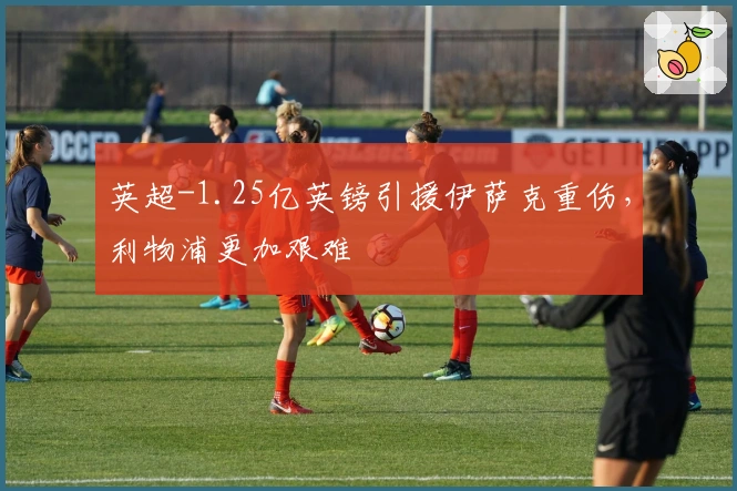 英超-1.25亿英镑引援伊萨克重伤，利物浦更加艰难