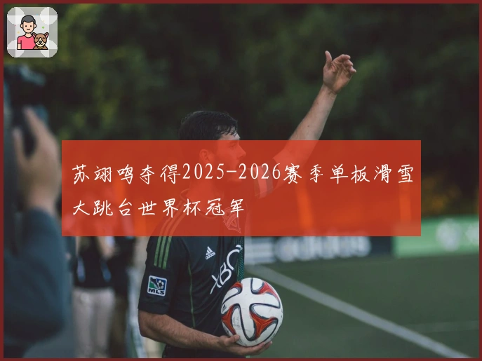 苏翊鸣夺得2025-2026赛季单板滑雪大跳台世界杯冠军