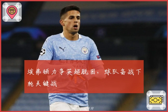 埃弗顿力争英超脱困,球队备战下轮关键战